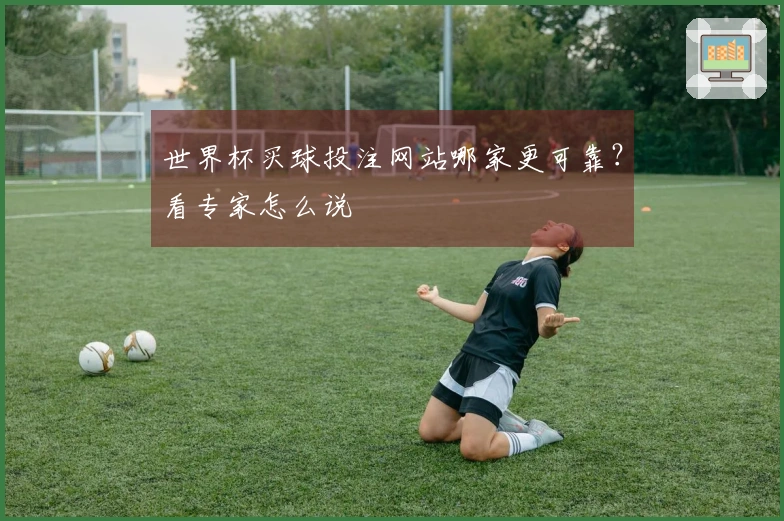 世界杯买球投注网站哪家更可靠？看专家怎么说