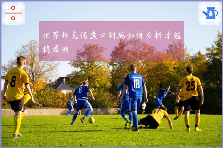 世界杯竞猜盘口到底如何分析才能稳盈利