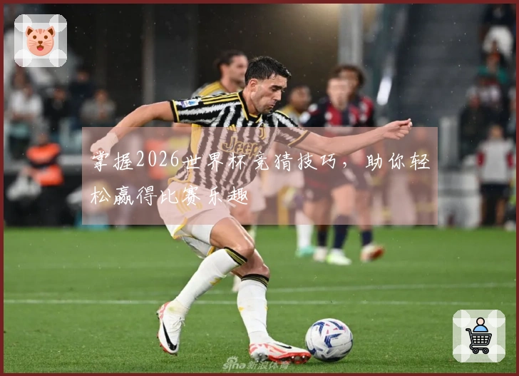 掌握2026世界杯竞猜技巧，助你轻松赢得比赛乐趣