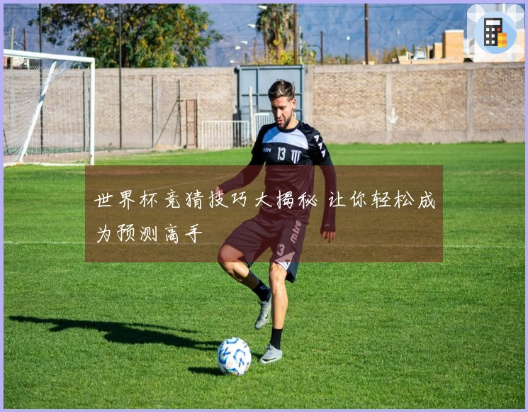世界杯竞猜技巧大揭秘 让你轻松成为预测高手