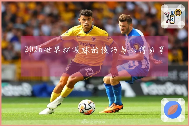 2026世界杯滚球的技巧与心得分享