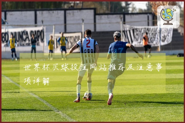 世界杯买球投注网站推荐及注意事项详解