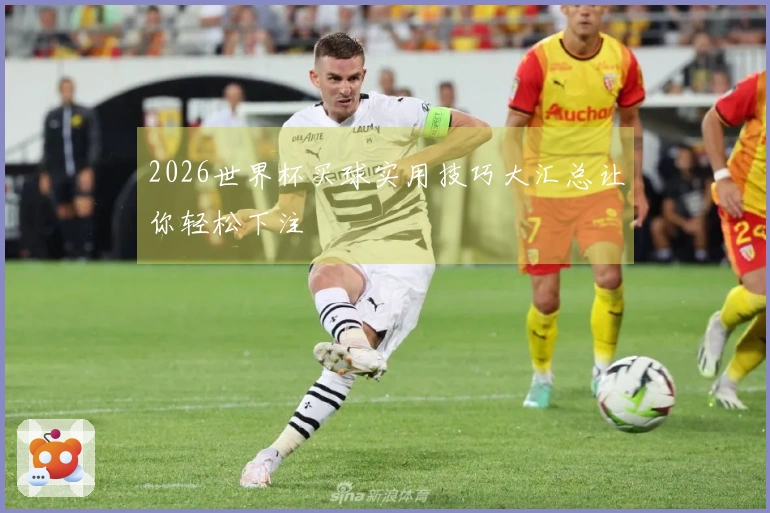 2026世界杯买球实用技巧大汇总让你轻松下注