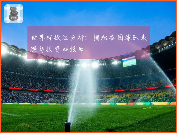 世界杯投注分析：揭秘各国球队表现与投资回报率