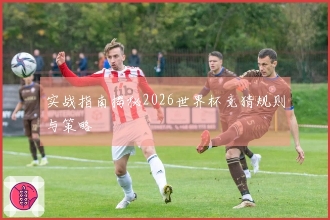 实战指南揭秘2026世界杯竞猜规则与策略