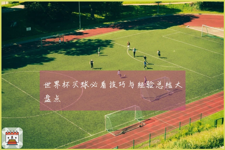 世界杯买球必看技巧与经验总结大盘点