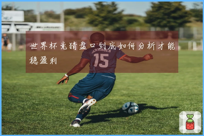 世界杯竞猜盘口到底如何分析才能稳盈利