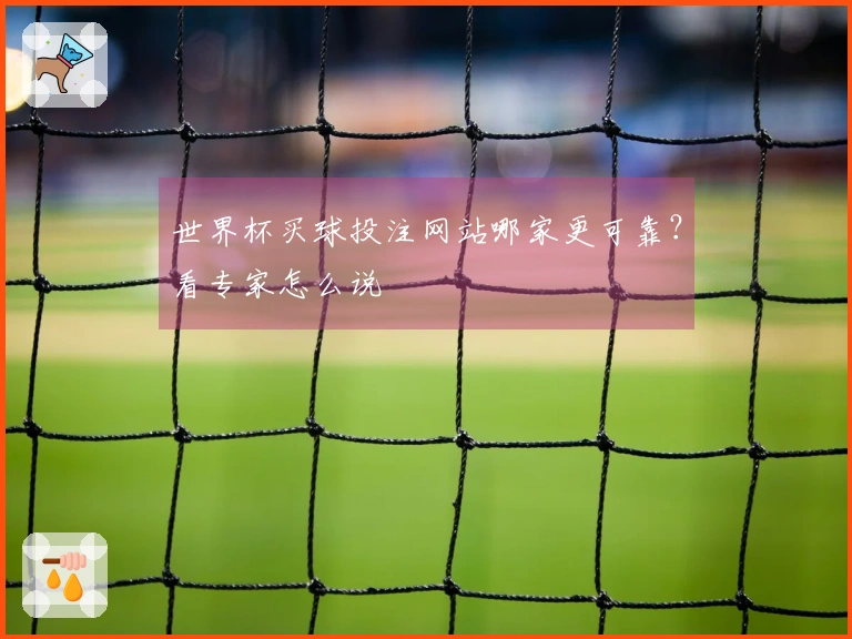 世界杯买球投注网站哪家更可靠？看专家怎么说