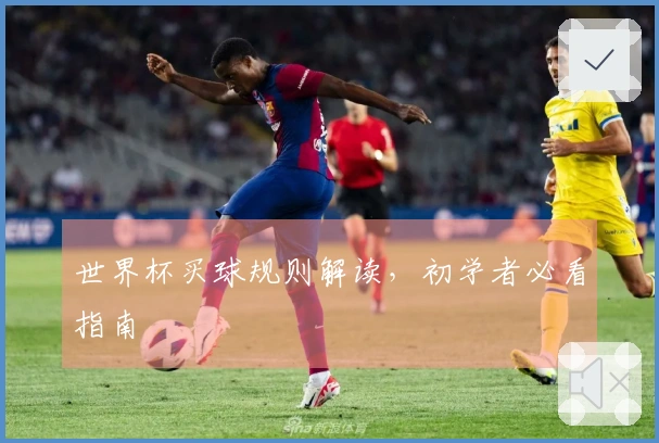 世界杯买球规则解读，初学者必看指南